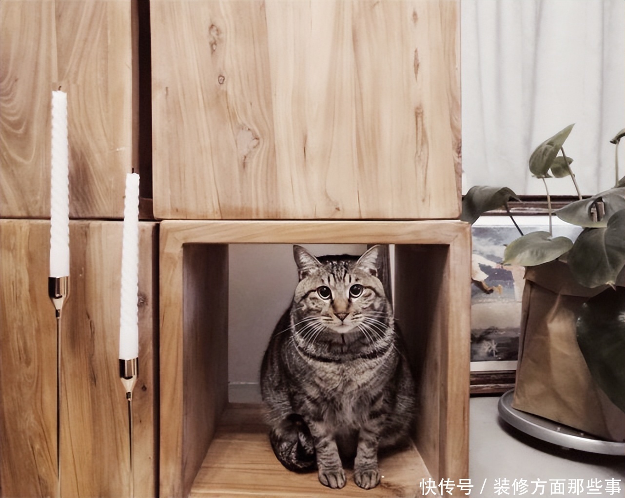 楼梯|86平复式愈系家,楼梯是整面的置物架收纳力太强了