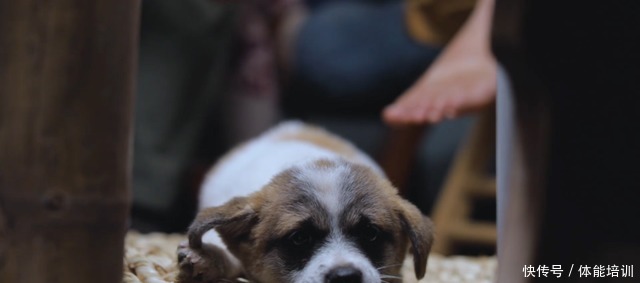 做一桌玫瑰,送给我最爱的你们~