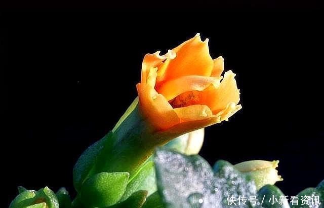 老祖宗|“命自我立,福自我求”记住老祖宗的这几句忠告,福报不请自来