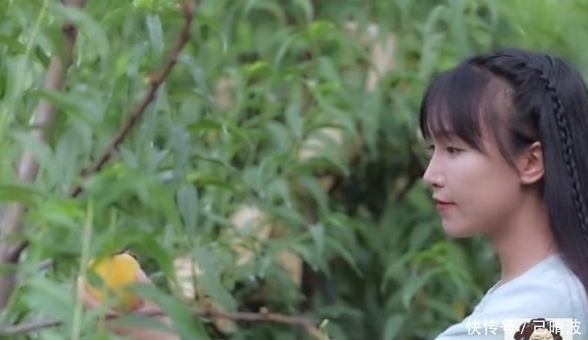 美食|李子柒自制黄桃罐头,却被质疑火起来就作假,网友:没见过黄桃树