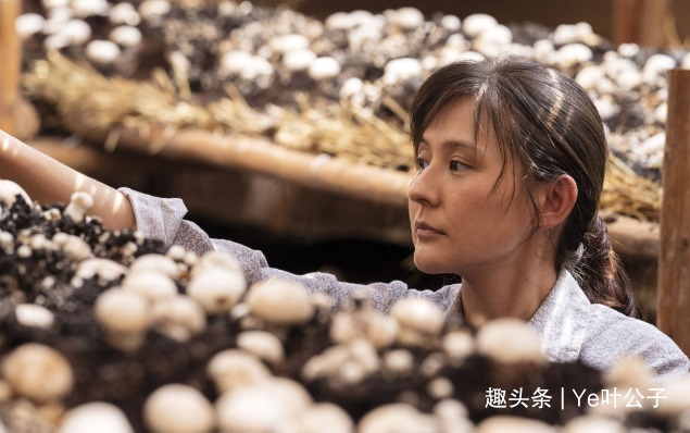 七个小青年点亮《山海情》,平均年龄28岁,闫妮女儿最小