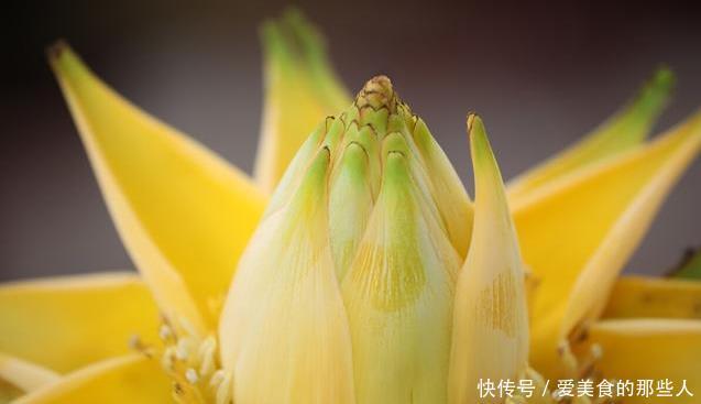 真正超长待机的花草排名，选一盆养家里，花期长，天天都能赏春天