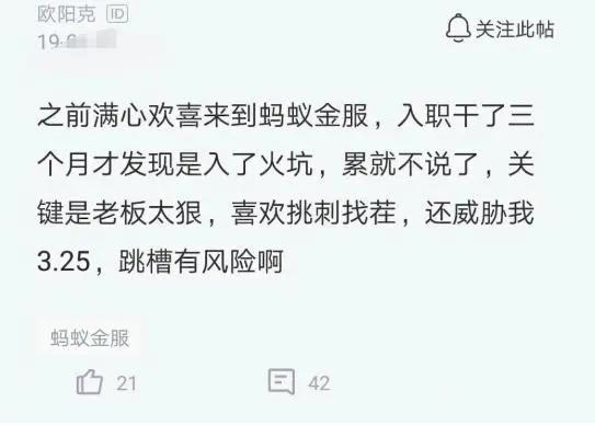 程序员|程序员跳槽阿里3个月便后悔满心欢喜而来，结果却发现是火坑