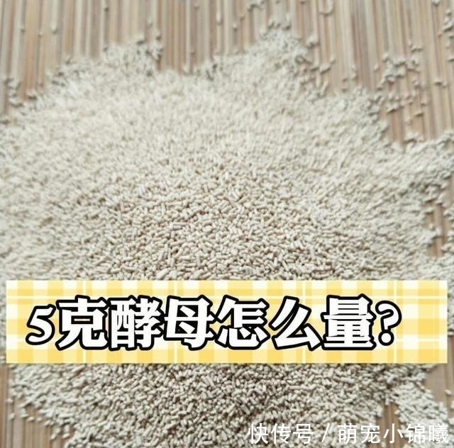家里没有电子秤,5克酵母怎么量?教你2个小妙招,非常实用