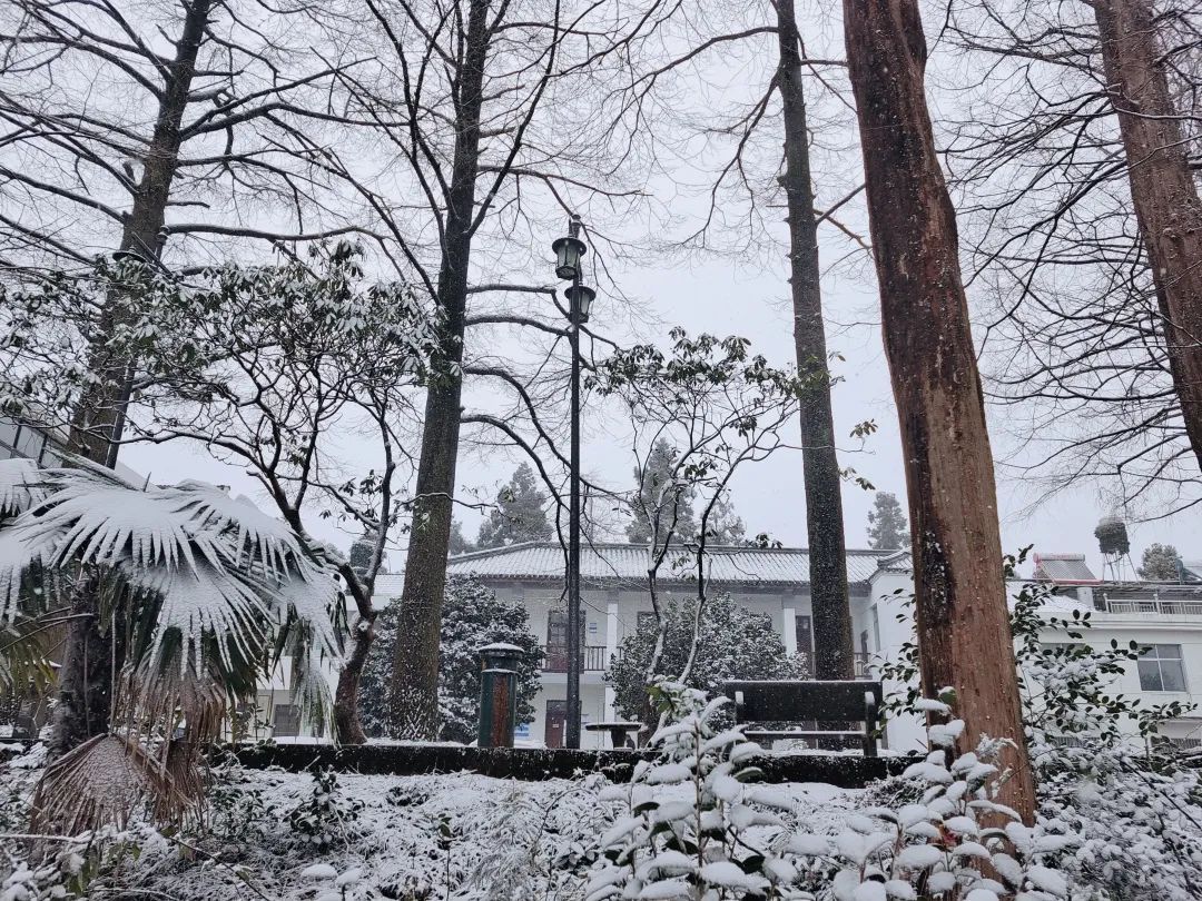 雪景|太美了！台州最新雪景！括苍山跌至-10℃，再现云海奇观（多图多视频）