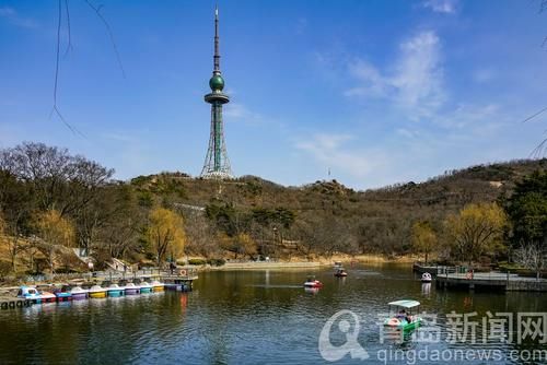 老年|【花消息】霓裳片片俏枝头 中山公园玉兰花开了