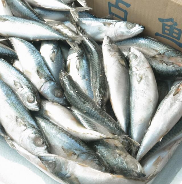 氨基酸|含“寄生虫”最多的3种海鲜，没营养还贵，老板自己从不吃