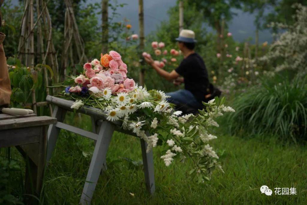  感受|小院+花园，走近这个诗意地，你将感受到一种最质朴的美好