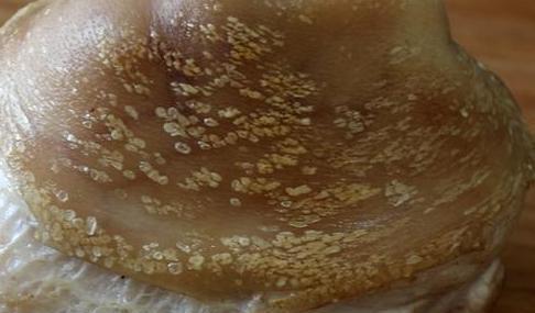 80岁爷爷将“酱肘子”秘方传给我，记住这5步，又香又烂不油腻