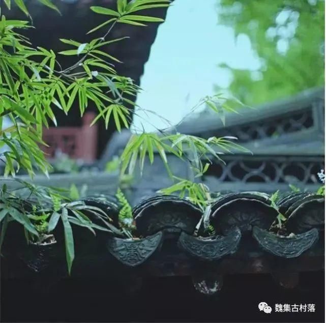 那些年我们一起躲过雨的屋檐下，藏着滨州最美的风景