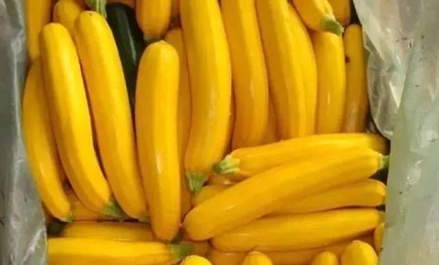 秋天|人到中年,适合多吃的好食物,补充能量,降压减脂,增强身体素质