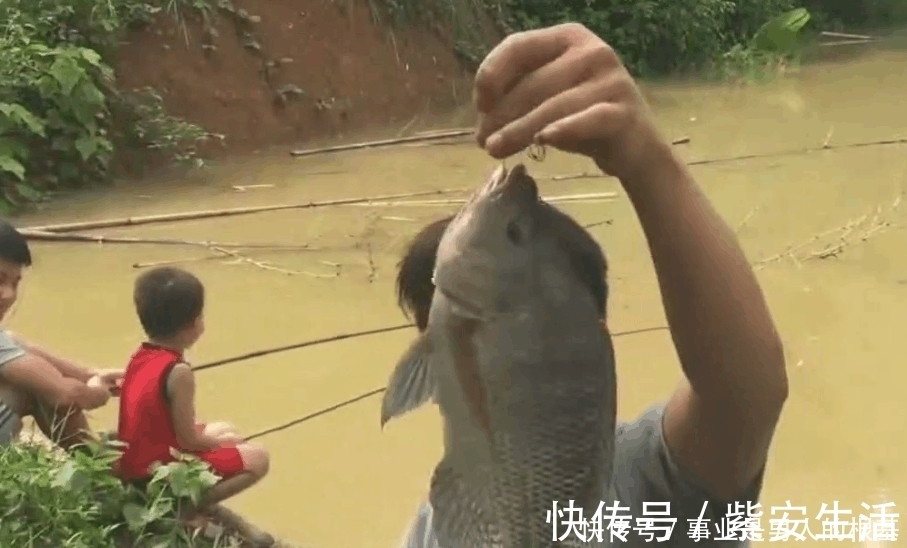 浑水中钓鱼遇到大罗非,看清后激动得大叫起来