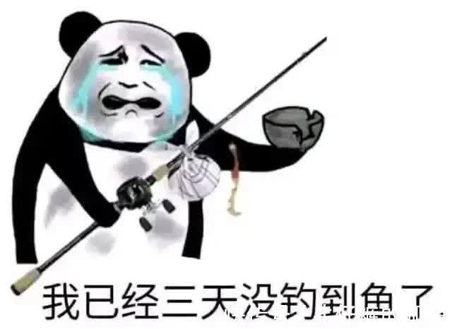 钓鱼有什么乐趣?常人很难理解,这6条只有钓鱼人才懂的快乐