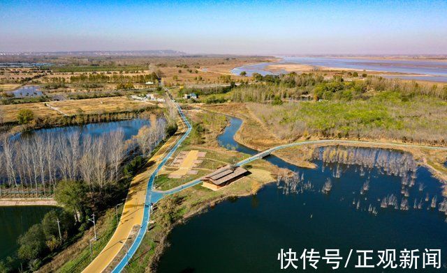 新闻记者|法桐、湿地……黄河南岸，美景醉人