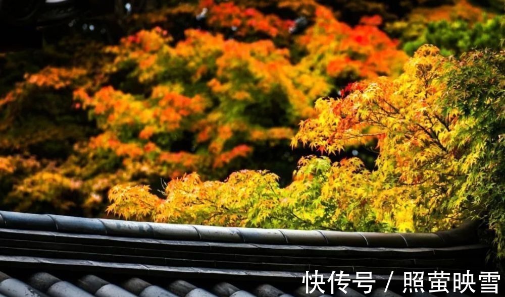 秋思@古今10首写秋名作,首首经典,哪一首是你心中的第一