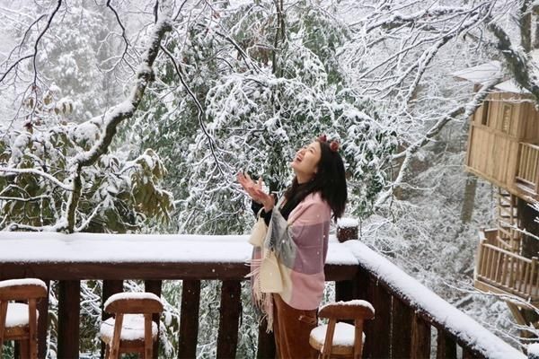 龙苍沟|龙苍沟迎来今冬初雪