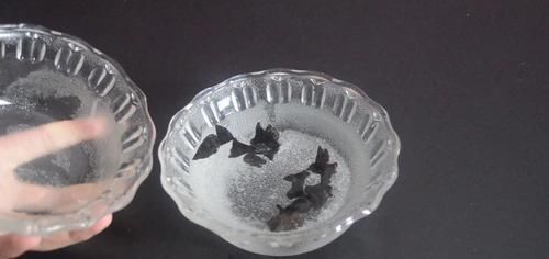 泡木耳,很多人第一步就错了,饭店厨房教我一诀窍,泡的又大又软