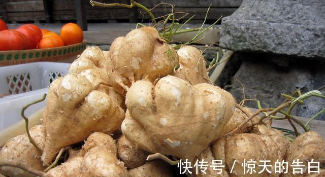 含有|很多人吃的一种蔬果，在市场上很受欢迎，但不知道它有剧毒