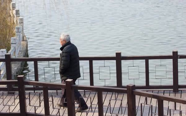 黑木耳|胆固醇的“清洁工”被找到,不是黑木耳,平时带着吃,养好血管?