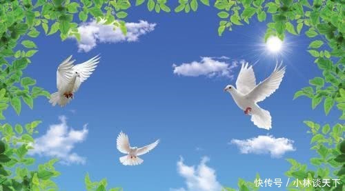 人觉着|懂得欣赏是一种美