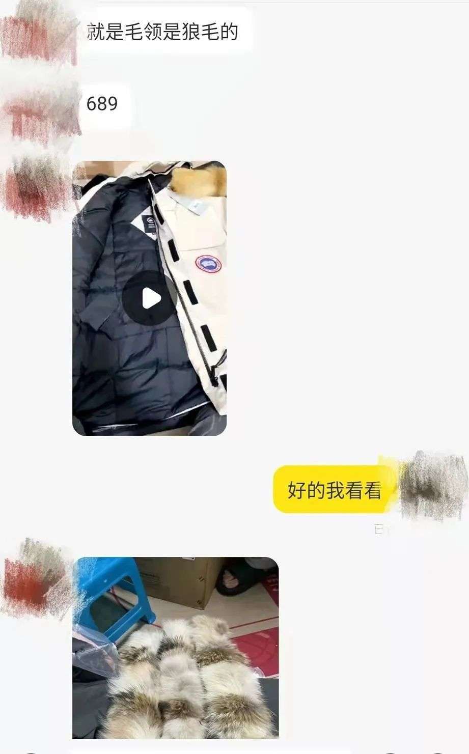 大牌|加拿大鹅耍＂大牌＂