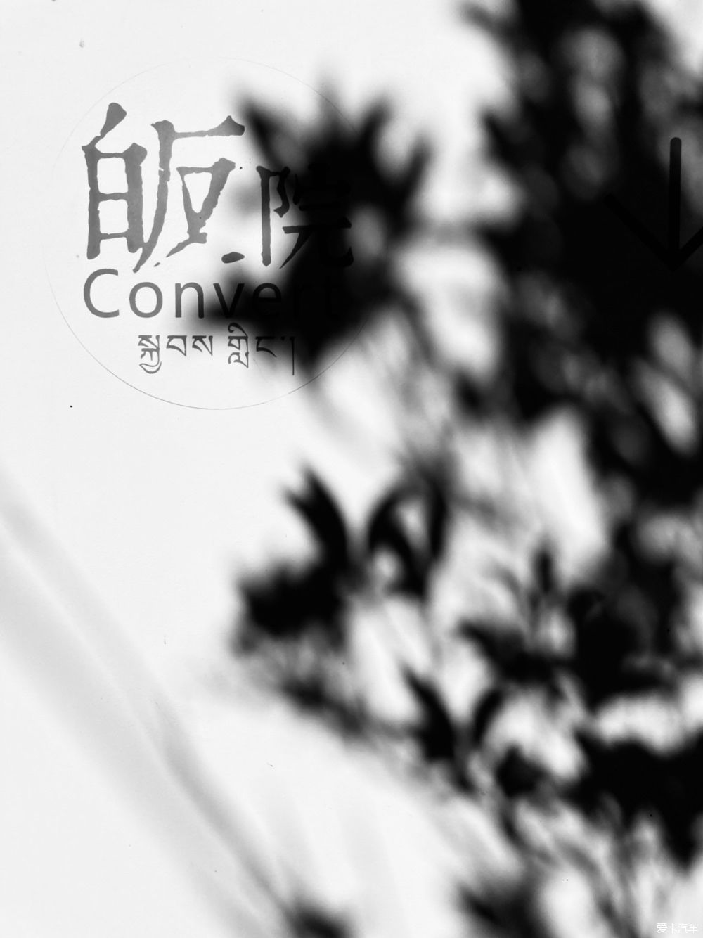 记录春节前勒川滇环线游记