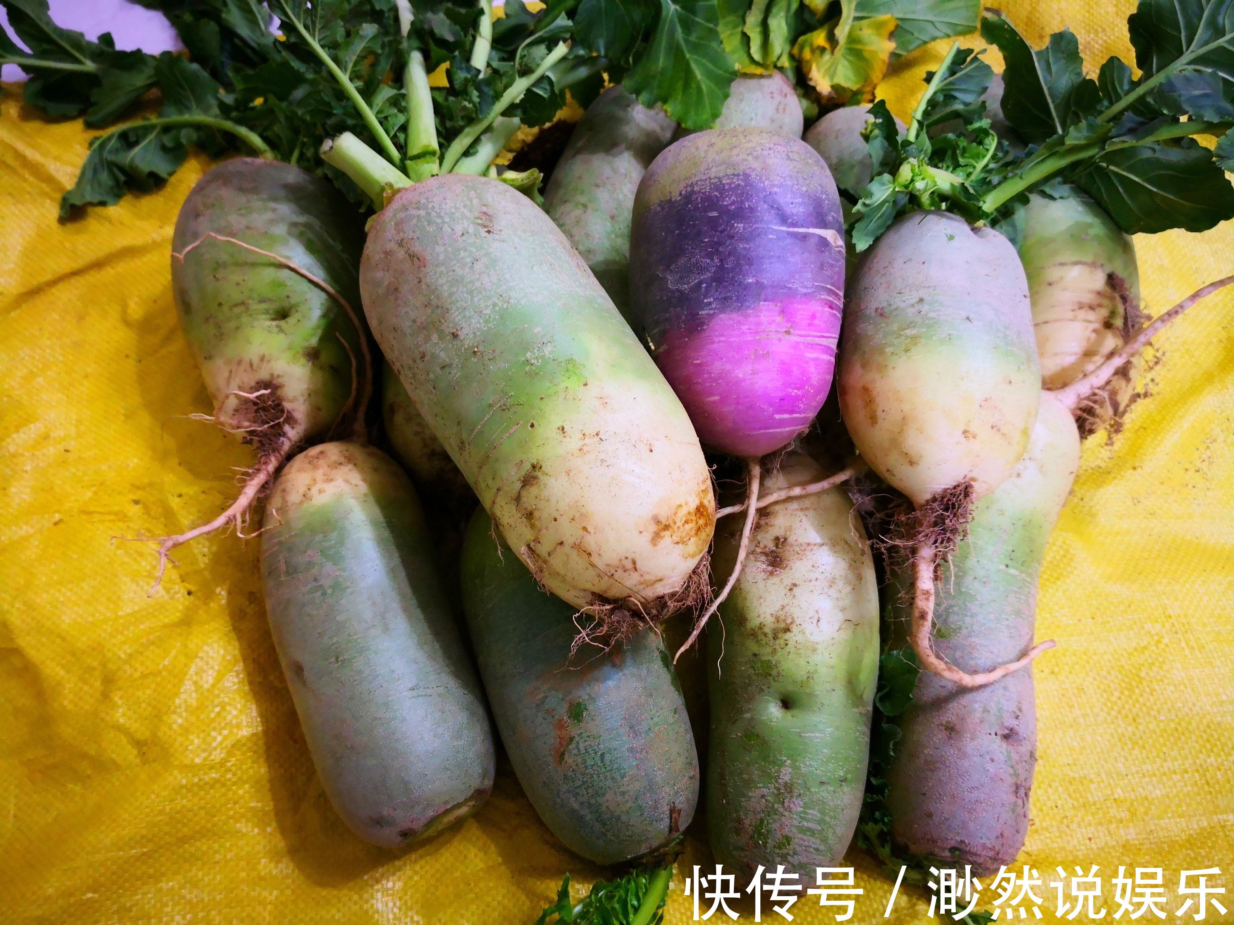 不管是保存萝卜还是白菜,学会此方法,放一冬天都新鲜,特方便!