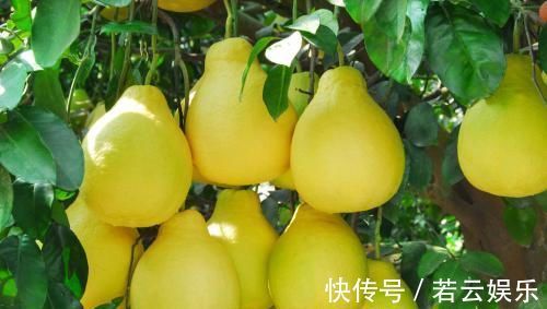 美容养颜|女性抗衰先排毒,常吃3种食物,美容养颜,抗氧化,早知早好