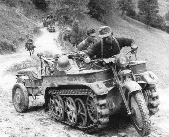 德国|德军二战的100万“动物部队”,没它们可能早就输了