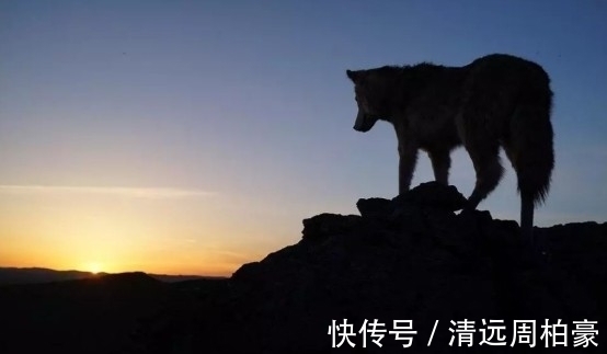 丈夫|姜戎:张抗抗的丈夫,写出了无数作家穷极一生也写不出的小说