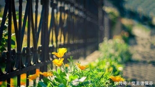 曾国藩一个家庭,一定要牢记这八点,方能走向发达,长盛不衰!