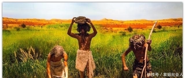 存在感|为什么大多孩子不喜欢吃蔬菜,可能不是挑食,而是本能的自我保护