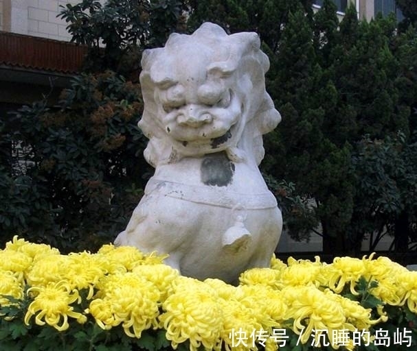 |搞笑图片幽默段子笑话:哈哈,很有趣的妹子哦,还用头发绑气球啊