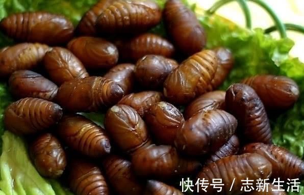 雄激素|男人过了40岁, 这几种食物要多吃, 激发雄激素, 更有男人味