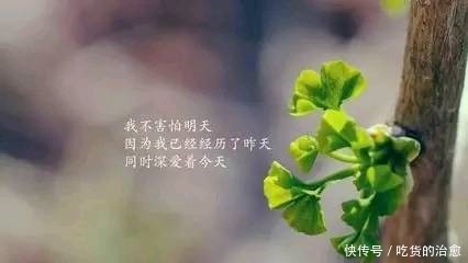 简单乐观心态短句,简短洋气,值得分享