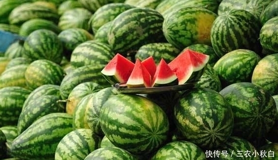 上文中|打了激素的西瓜,你知道怎样辨别吗?不妨留心几点