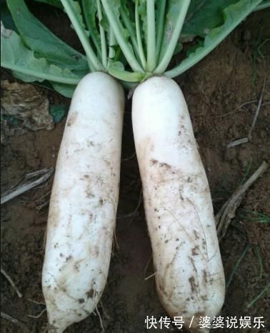 白萝卜汤|中医教你:小孩积食不要慌,3招轻松解决“小儿积食”、调好脾胃