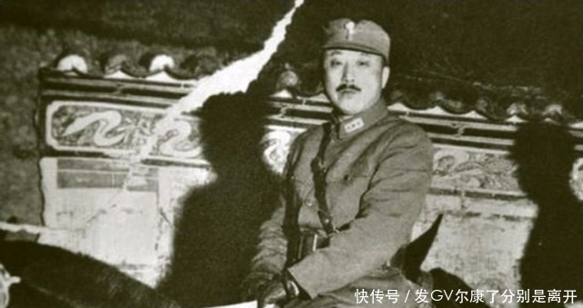 猛然|毛主席问卫立煌:驴是先迈左脚还是右脚?卫起先不懂,后猛然醒悟