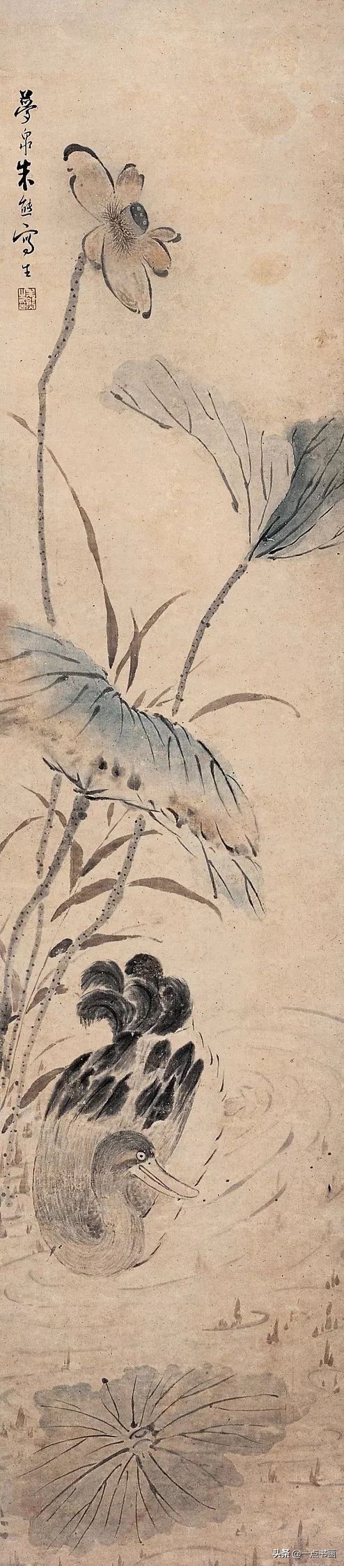 嘉树堂！清代海派 朱熊 花鸟作品欣赏