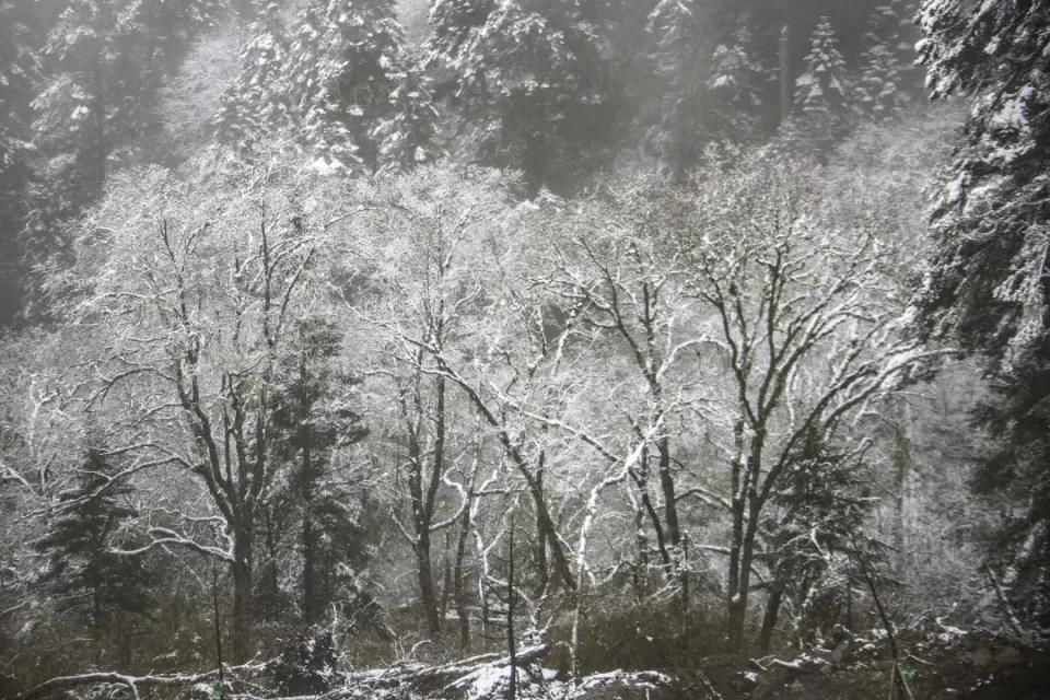 实拍！2021汶川第一场雪，来来来啦！