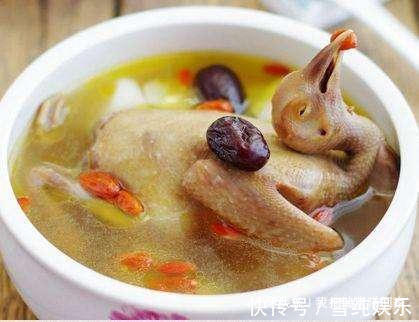 一鸽顶十鸡|老人常说“一鸽顶十鸡”,鸽子肉的营养价值真这么高吗