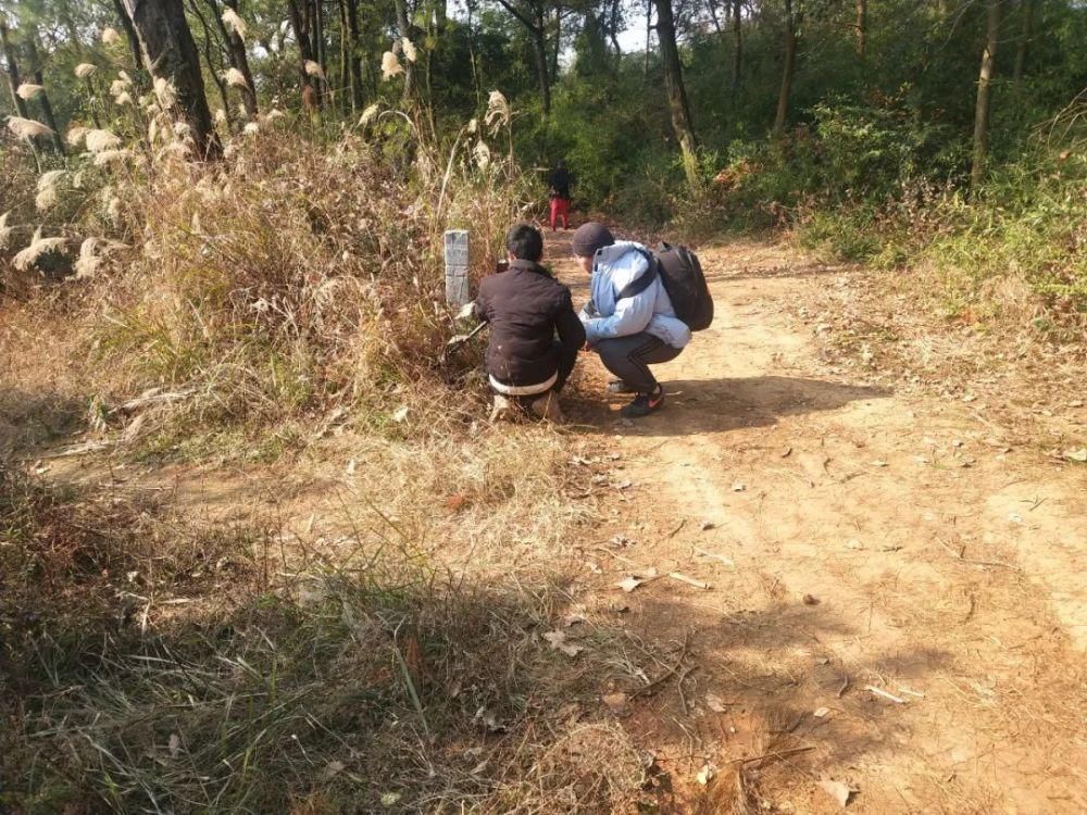 桃花源|永岁镇党委书记走进央视镜头,欲将此古城打造成历史文化旅游景点