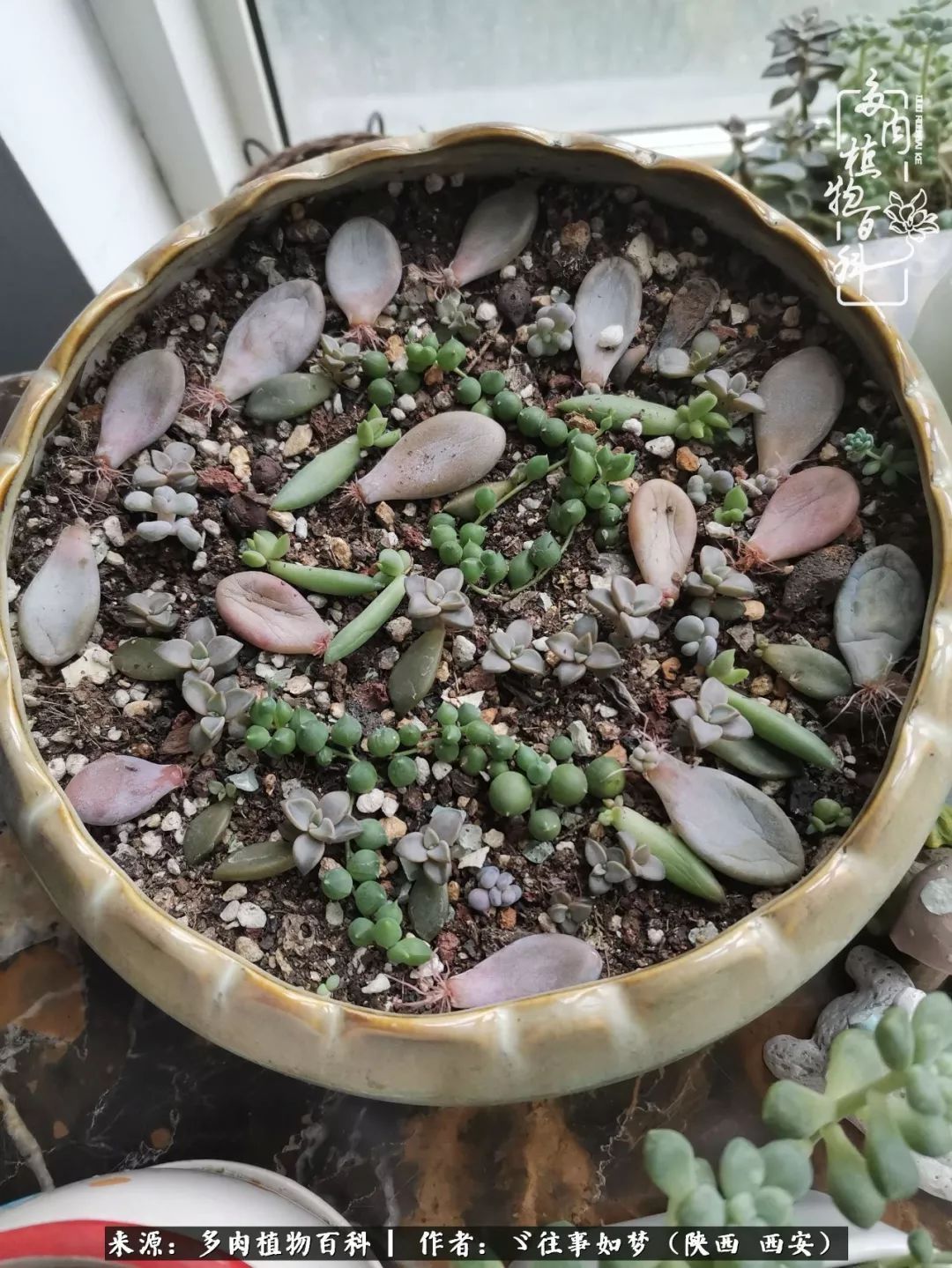 愿你付出甘之如饴,愿你所得归于欢喜!