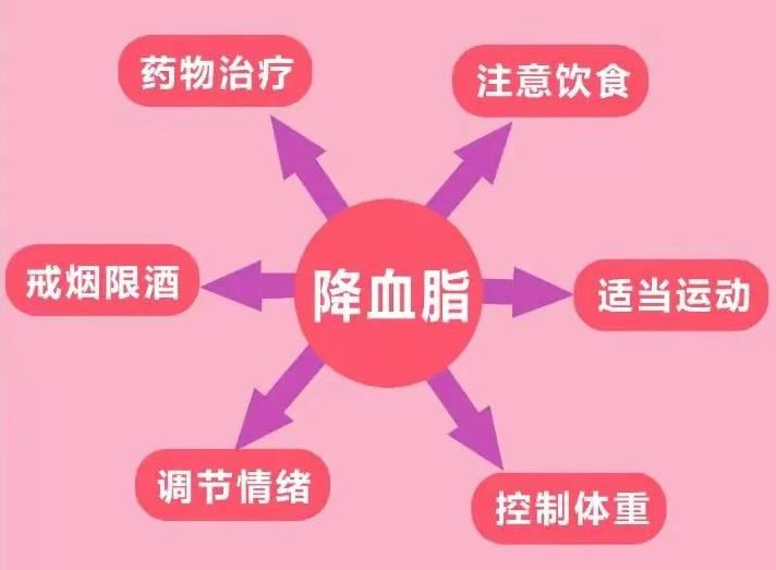 动脉粥样硬化|高度警惕！每年400万人因这种病死亡！过量饮酒，千万要不得