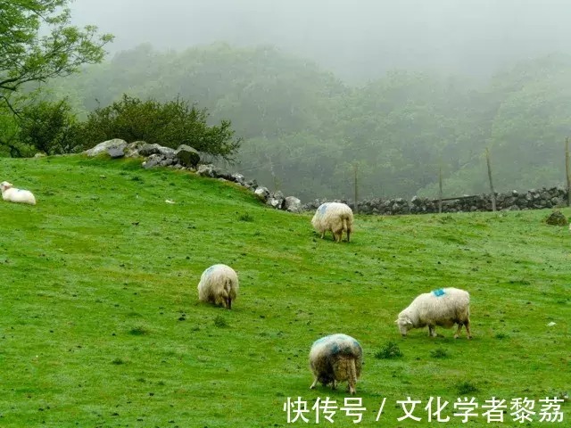 卡迪夫@失明的孩子在宇宙的边缘