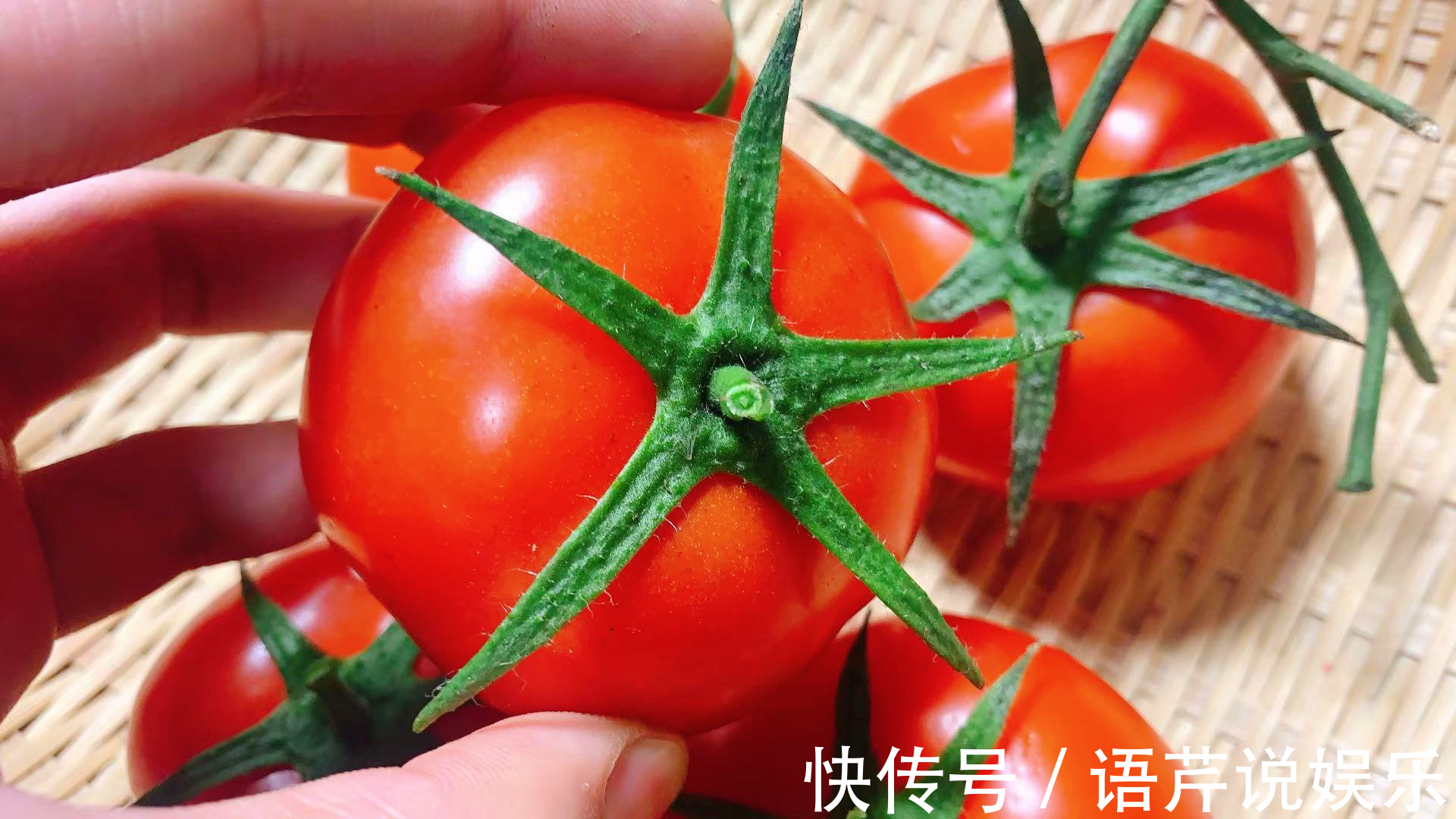 买番茄时，挑5片叶还是6片叶老菜农说挑错了，难吃还浪费钱