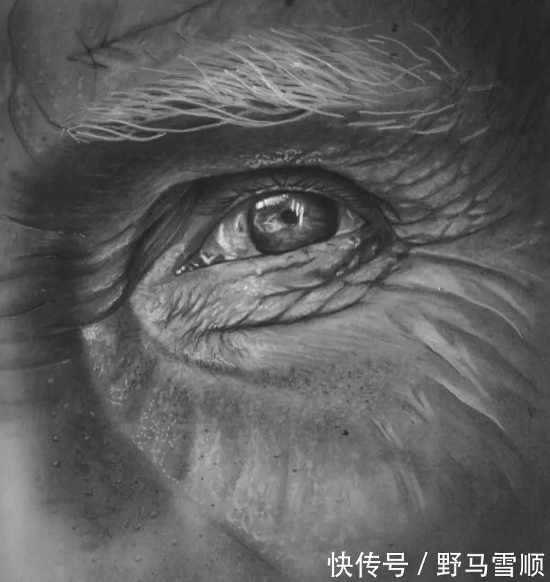 维也纳$身残志坚:没有双手的他,画出令人惊叹的铅笔肖像