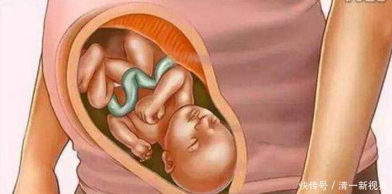 体重|宝宝是怎么被慢慢孕育出来的,十张过程图,一切来之不易