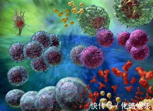 阿加曲|癌症患者需要忌口吗肿瘤医生4类食物最好远离，影响治疗