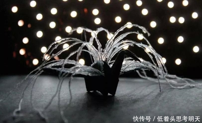 重样|每天折一只千纸鹤,他坚持了1000天不重样,女友被感动到梨花带雨